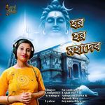 Har Har Mahadev artwork