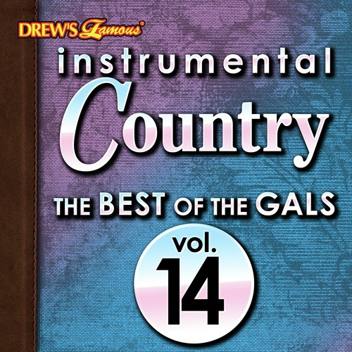 Instrumental Country: The Best of the Gals, Vol. 14