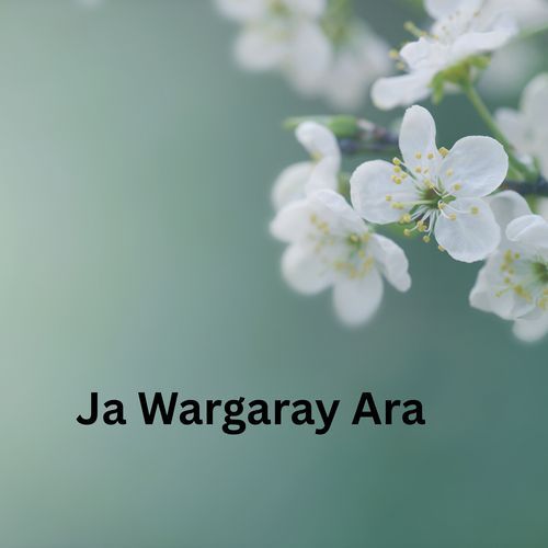 Ja Wargaray Ara