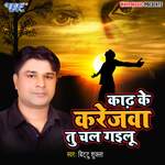 Karh Ke Karejwa Tu Chal Gailu