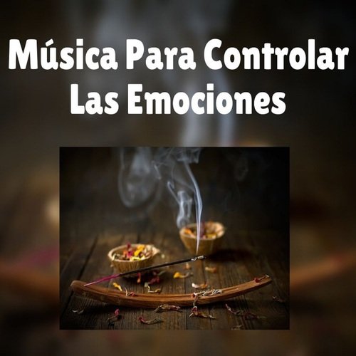 Dormir Profundamente cover art