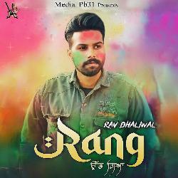 Rang Udd Gya Holi Special-MyYBAB9zcnw