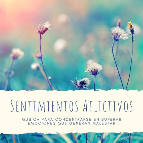Felicidad Plena cover art