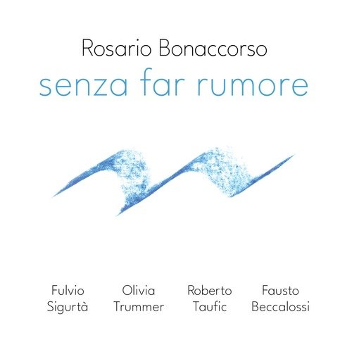 Senza far Rumore_poster_image