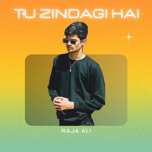 TU ZINDAGI HAI