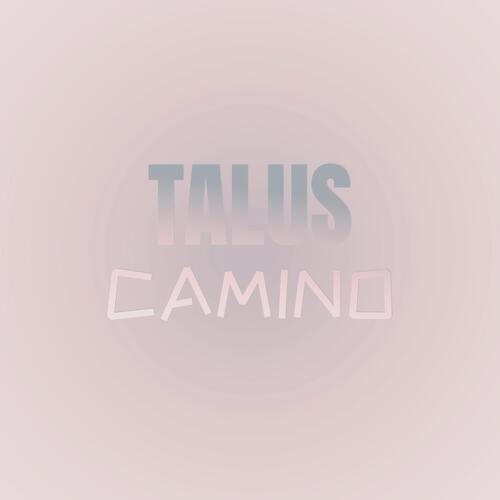 Talus Camino