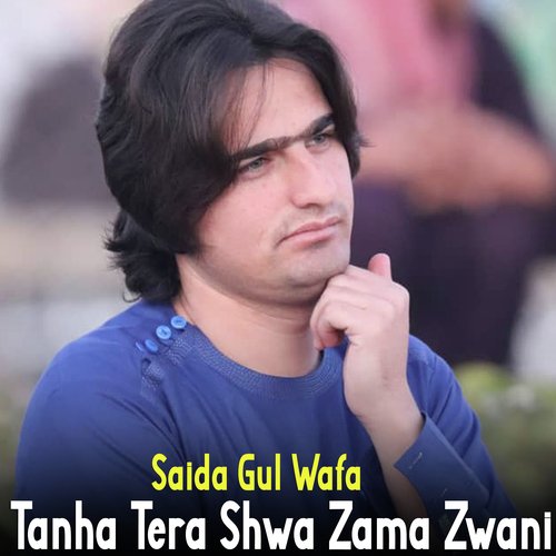 Tanha Tera Shwa Zama Zwani