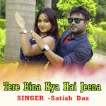 Tere Bina Kya Hai Jeena