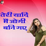 Teri Yaadi Main Jogi Bani Gaye