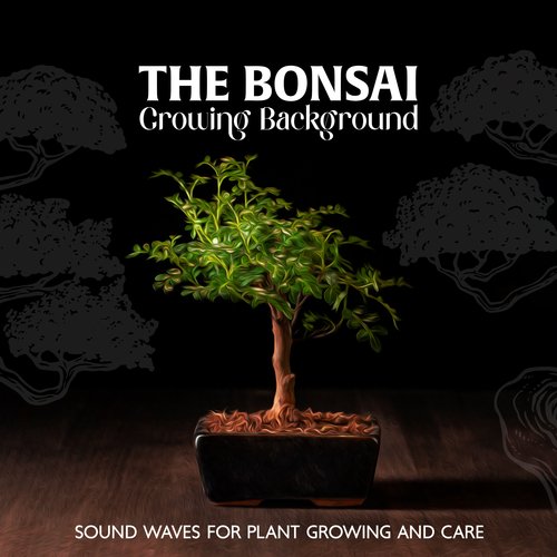 The Bonsai Growing Background: Sound Waves For Plant Growing And Care_poster_image