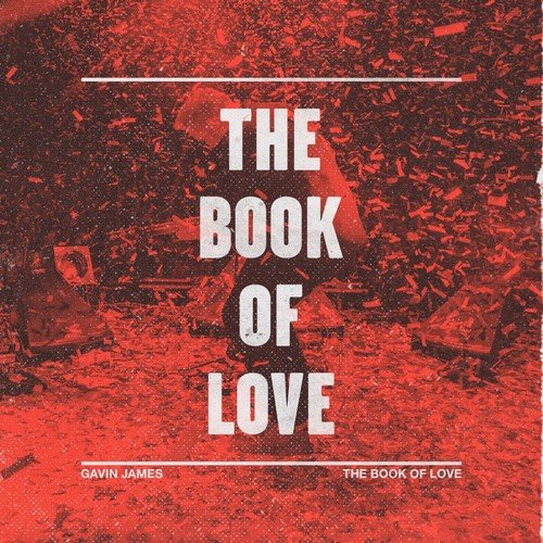 The Book of Love (Does It Offend You, Yeah? Remix)