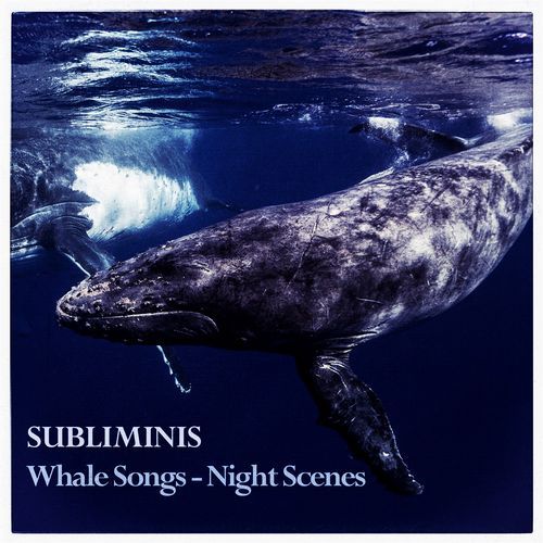 Whale Song X - Night Rising cover art