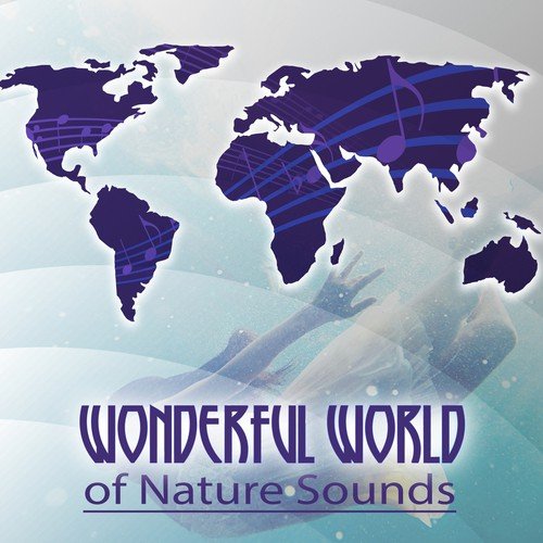 Wonderful World Music Consort
