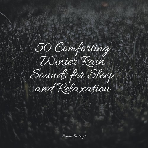 50 Comforting Winter Rain Sounds for Sleep and Relaxation