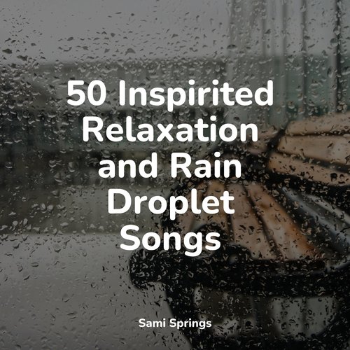 50 Inspirited Relaxation and Rain Droplet Songs_poster_image