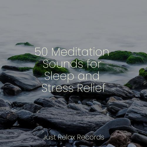 50 Meditation Sounds for Sleep and Stress Relief_poster_image