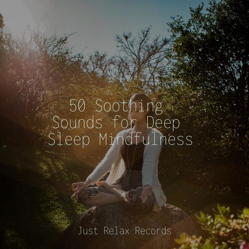 50 Soothing Sounds for Deep Sleep Mindfulness