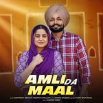 Amli Da Maal
