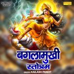Baglamukhi Stotram