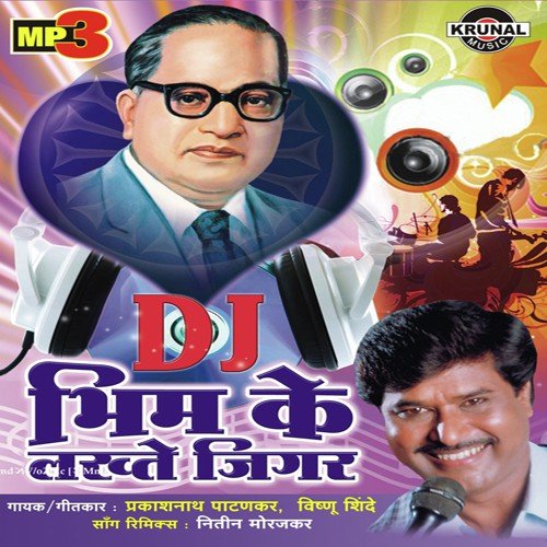 Bhim Ke Lakhte Jigar - D.J. Mix