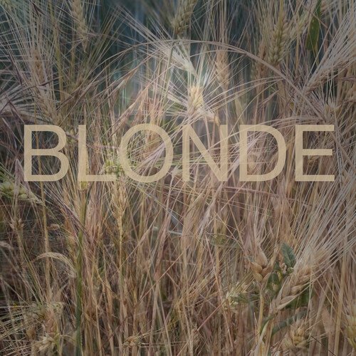 Blonde cover art