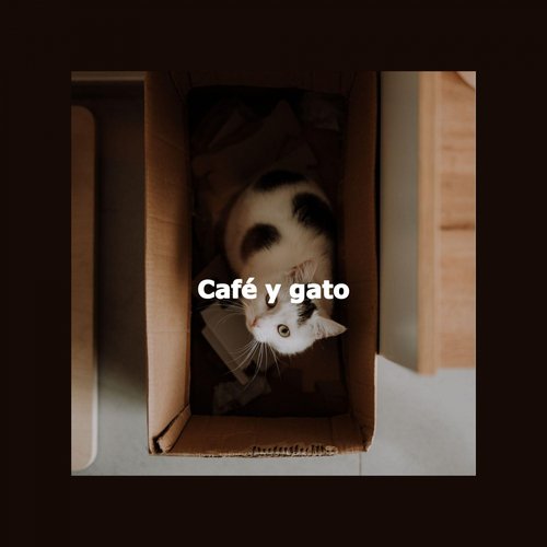 Café y gato