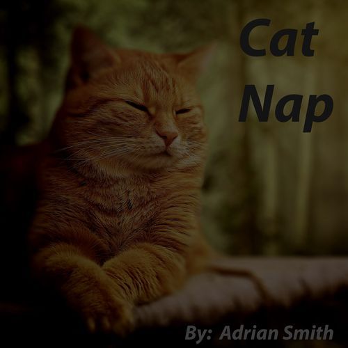 Cat Nap_poster_image