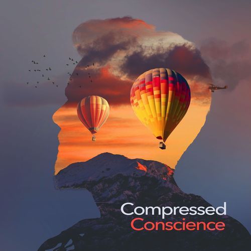 Compressed Conscience