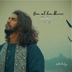 Dum Nal Dum Bharagi Ranjheya Ve