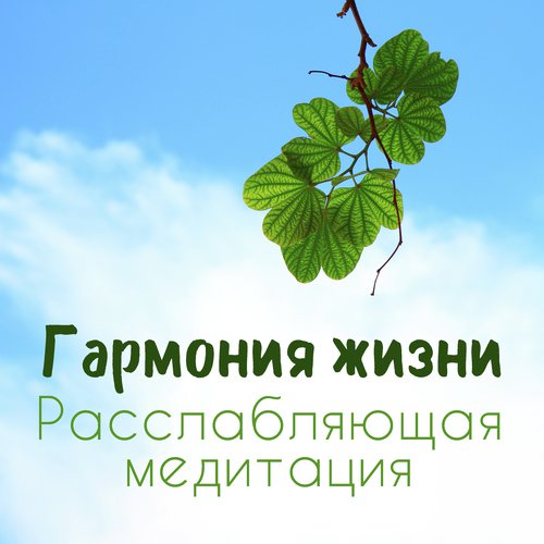 Духовная медитация cover art