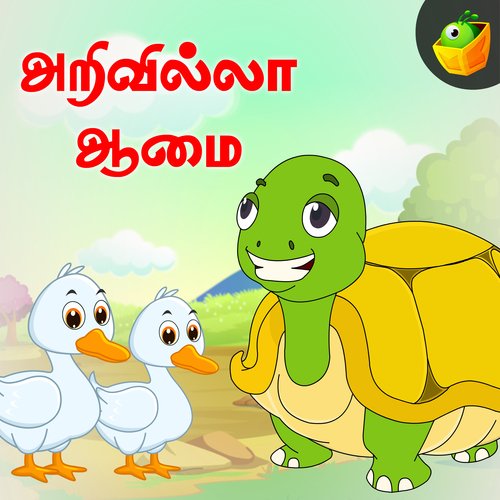 Foolish Tortoise