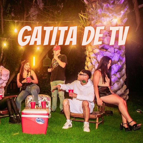 Gatita de Tv_poster_image