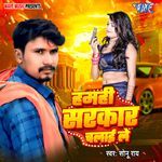 Hamahi Sarkar Chalaile