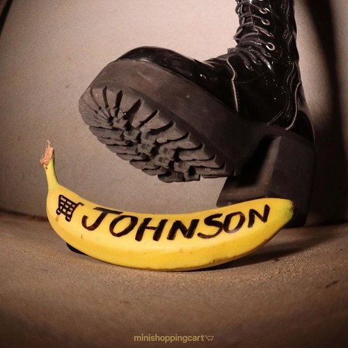Johnson cover art