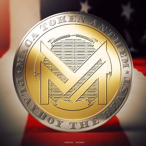 Maga Token Anthem_poster_image