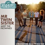 Mr Twin Sister - Meet the Frownies