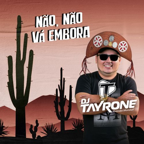 Não, Não Vá Embora (Remix)_poster_image