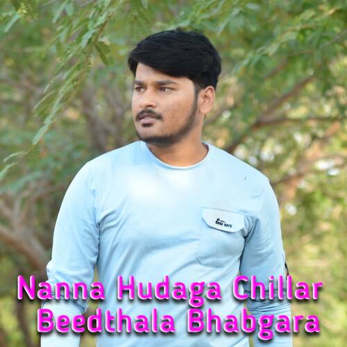 Nanna Hudaga Chillar Beedthala Bhabgara