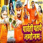 Parwati Pataye Namo Namah