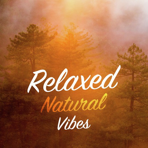 Relaxed Natural Vibes