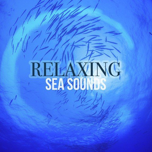 Relaxing Sea Sounds
