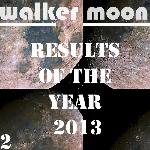 Results of the Year 2013, Vol. 2