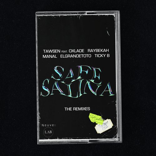 Safe Salina: The Remixes_poster_image