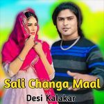 Sali Changa Maal