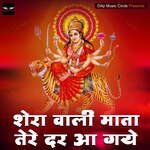 Shera Wali Mata Tere Dar Aa Gaye