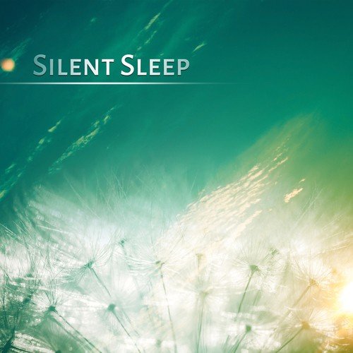 Silent Sleep – Just Relax, Zen, Serenity, REM, Deep Sleep, ASMR, Healing Sleep, Sleep Meditation