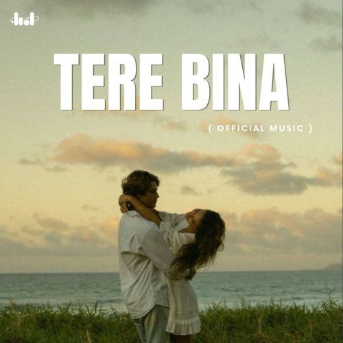 Tere Bina