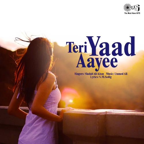 Teri Yaad Aayee_poster_image