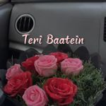 Teri baatein