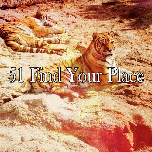 51 Find Your Place